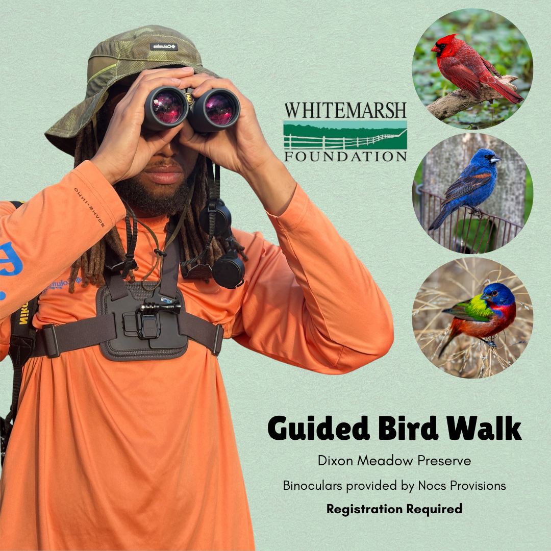 Guided Bird Walk - 1/11 @ 3 PM