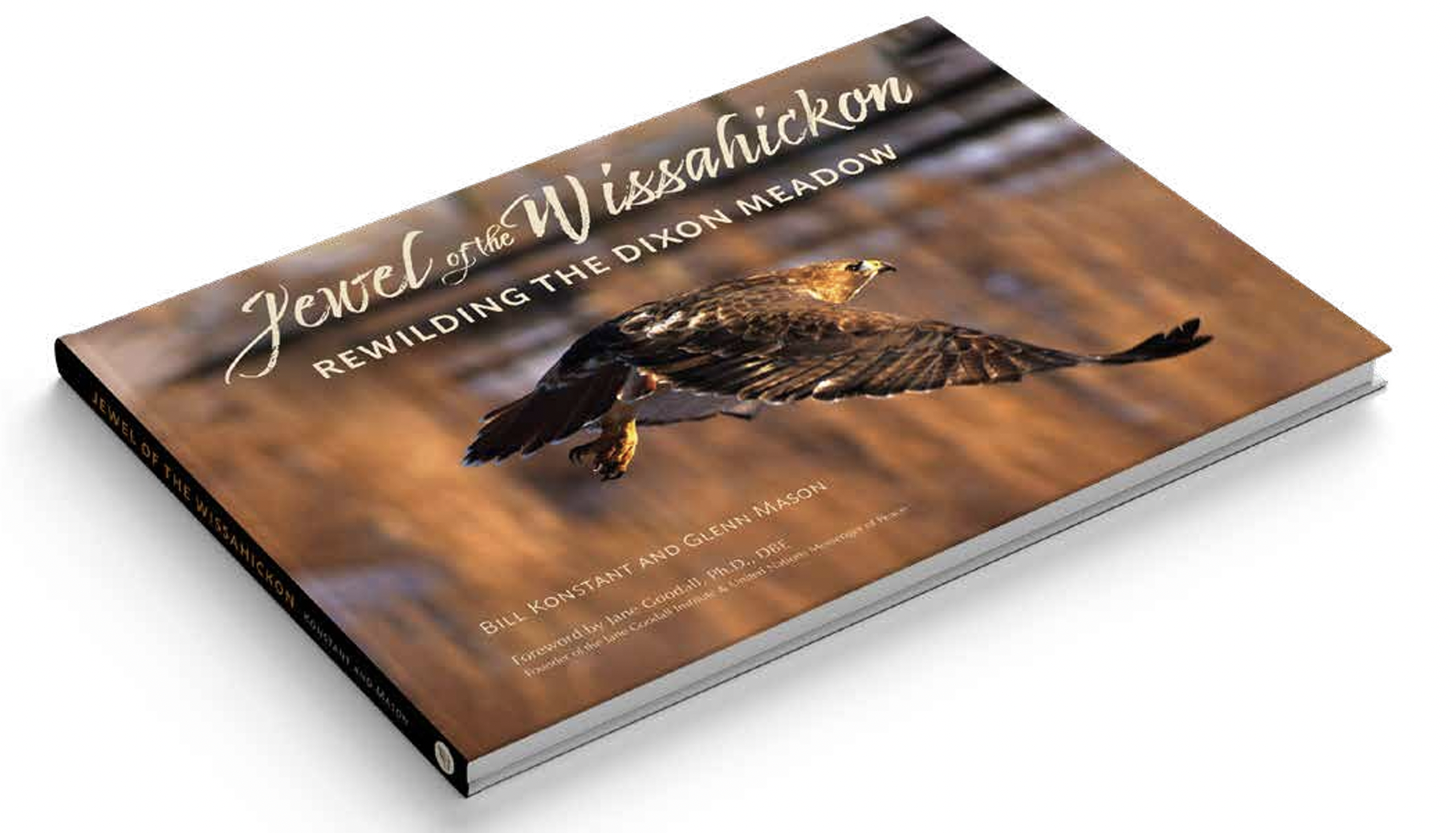 Jewel of the Wissahickon - Rewilding the Dixon Meadow