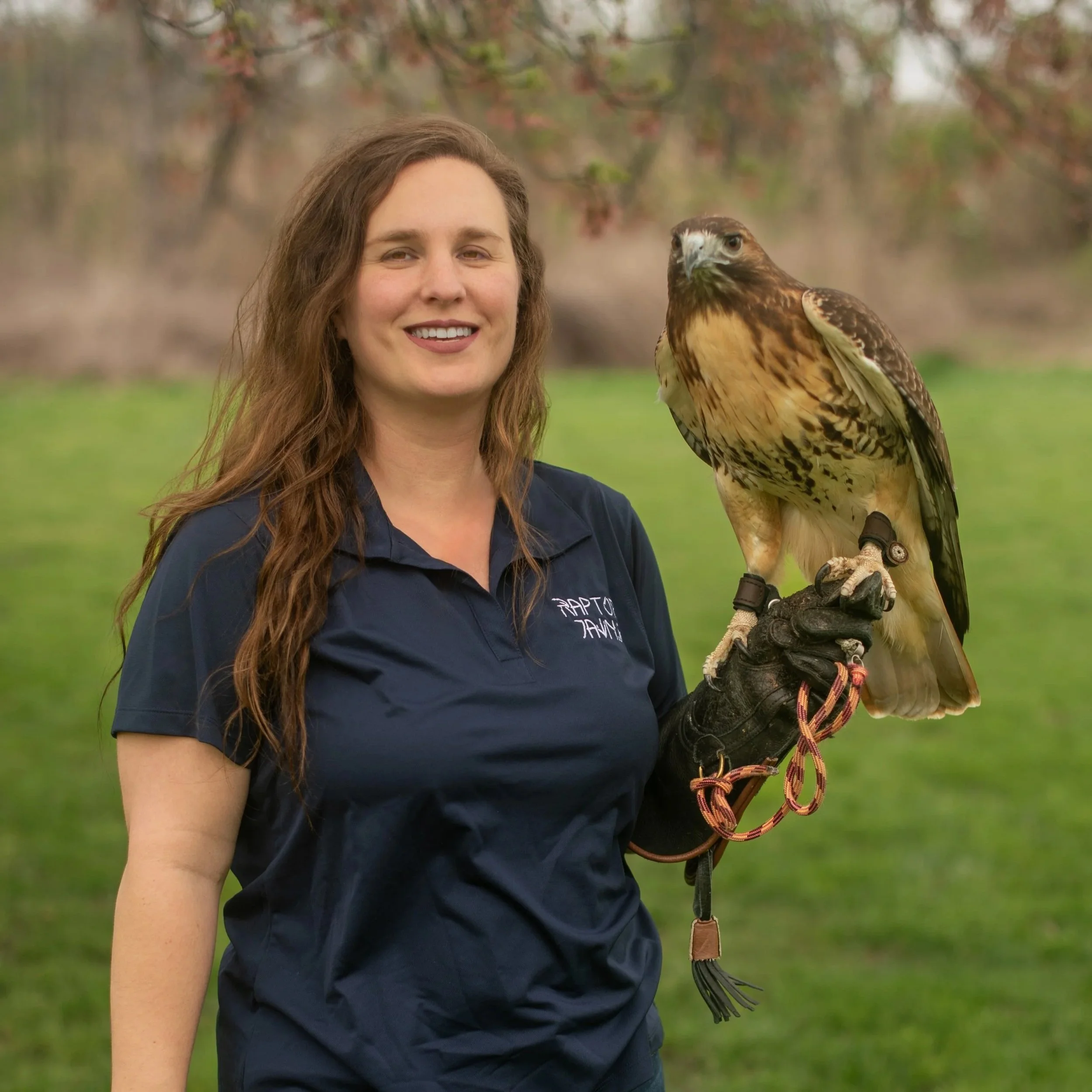 Birds of Prey with Raptor Jawns