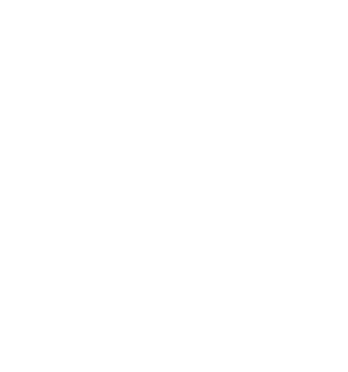gan-accel_white.png