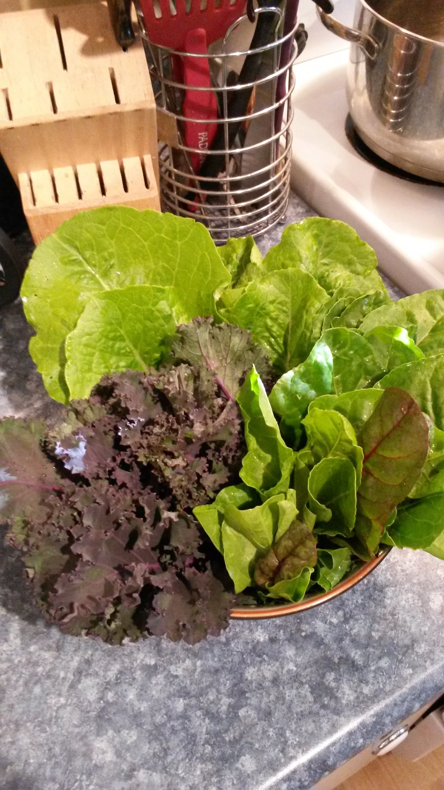 Nice harvest of assorted greens for the dinner table!