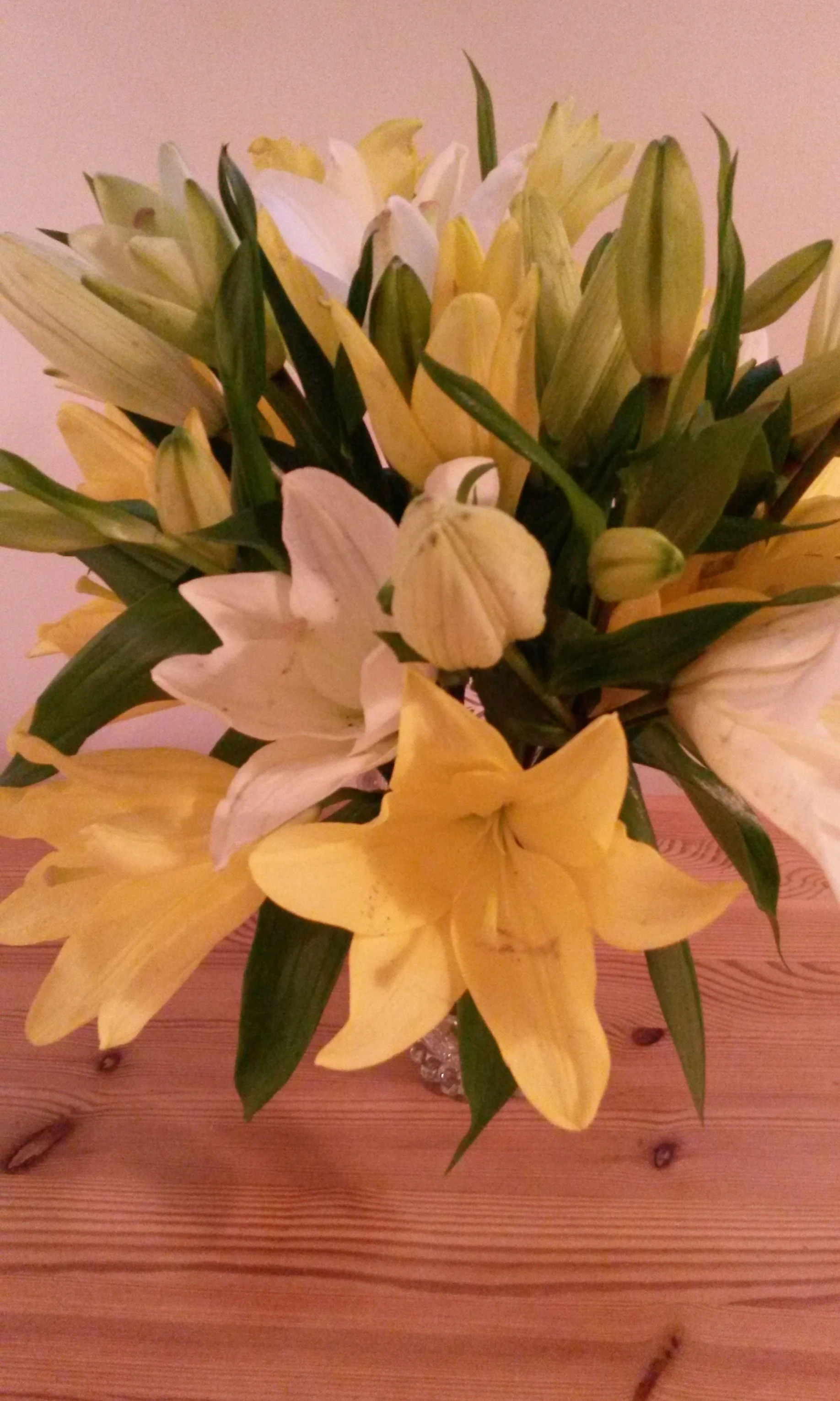 Yellow and White Oriental Lillies