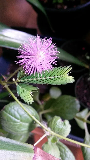 20170428_085320.jpg