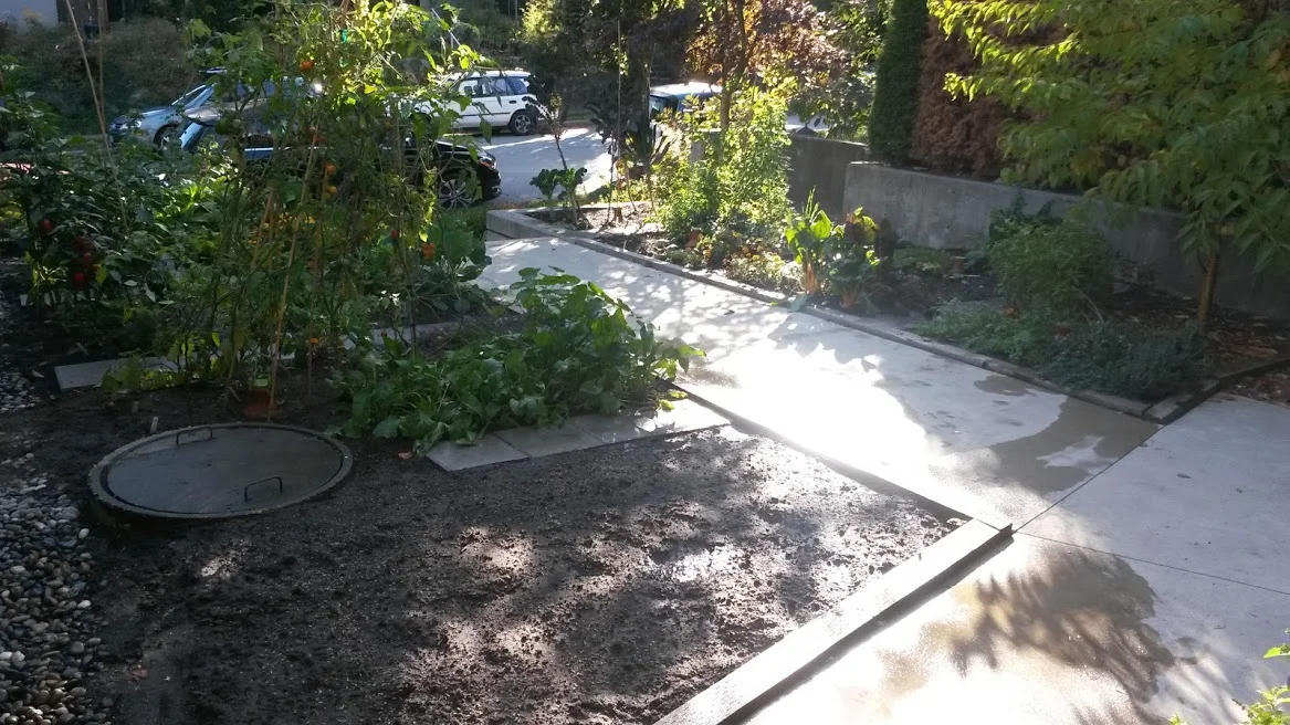 After an abundant summer of harvesting daily the season started to wind down. Time for garden cleanup and fall and winter planting. Things like garlic went in now.