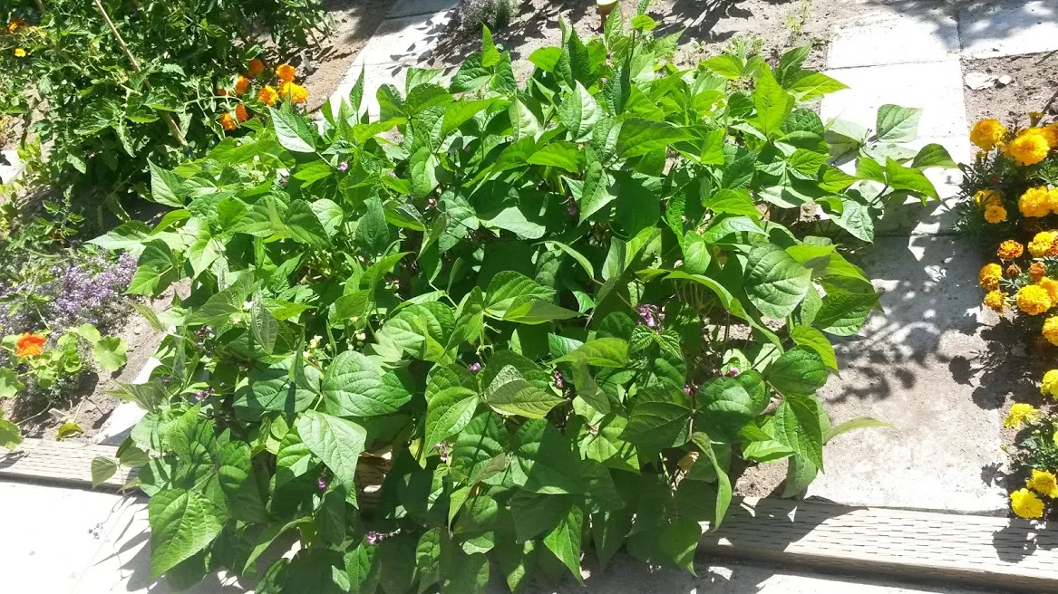 20170704_111634.jpg