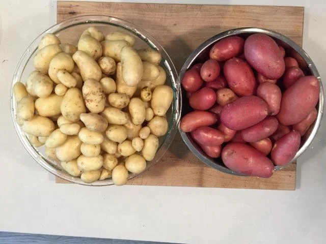 Home Grown Potatoes