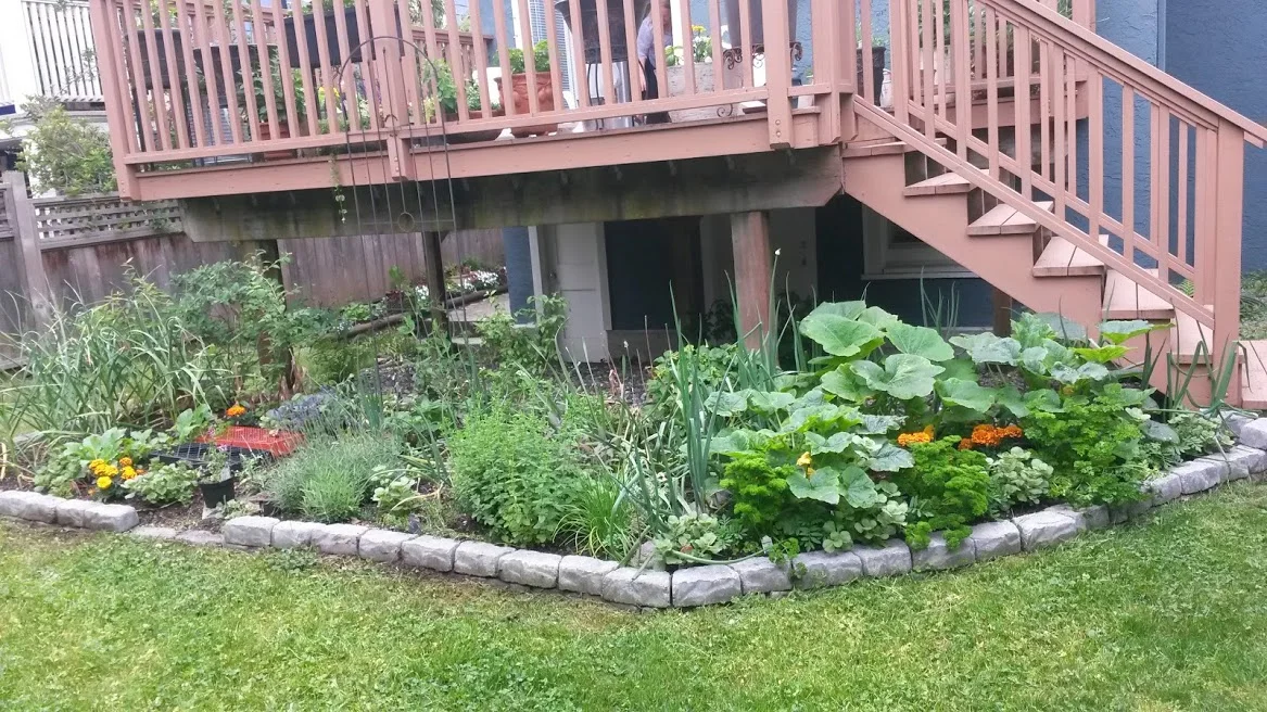 20170620_100058.jpg
