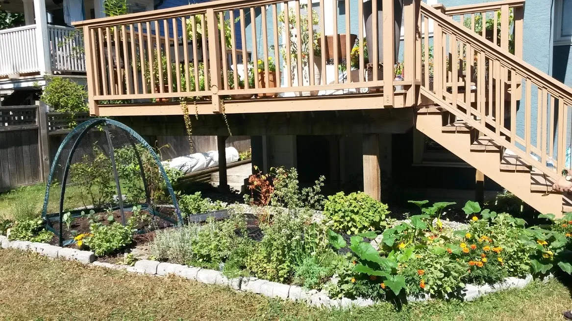 20170826_124915.jpg