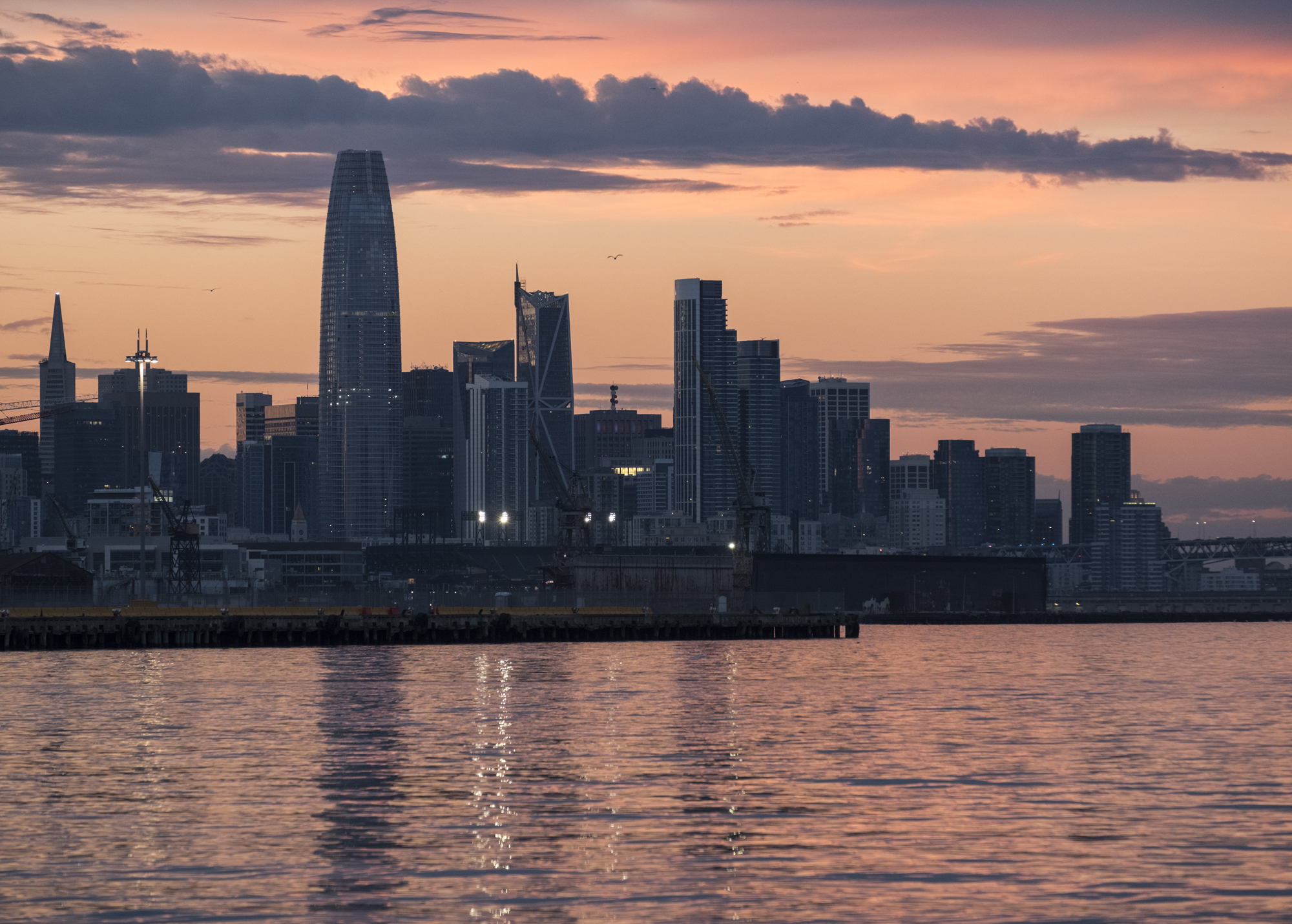 SF and The Salesforce Tower_#10_©Henrik Kam 2019.jpg