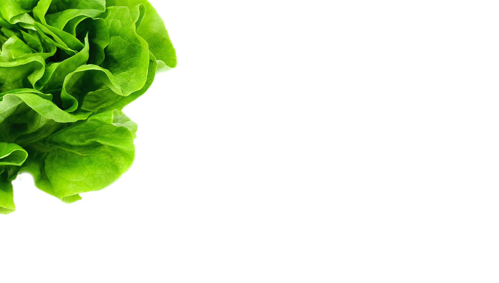 NaturalProductsConsulting_lettuce-bg.png