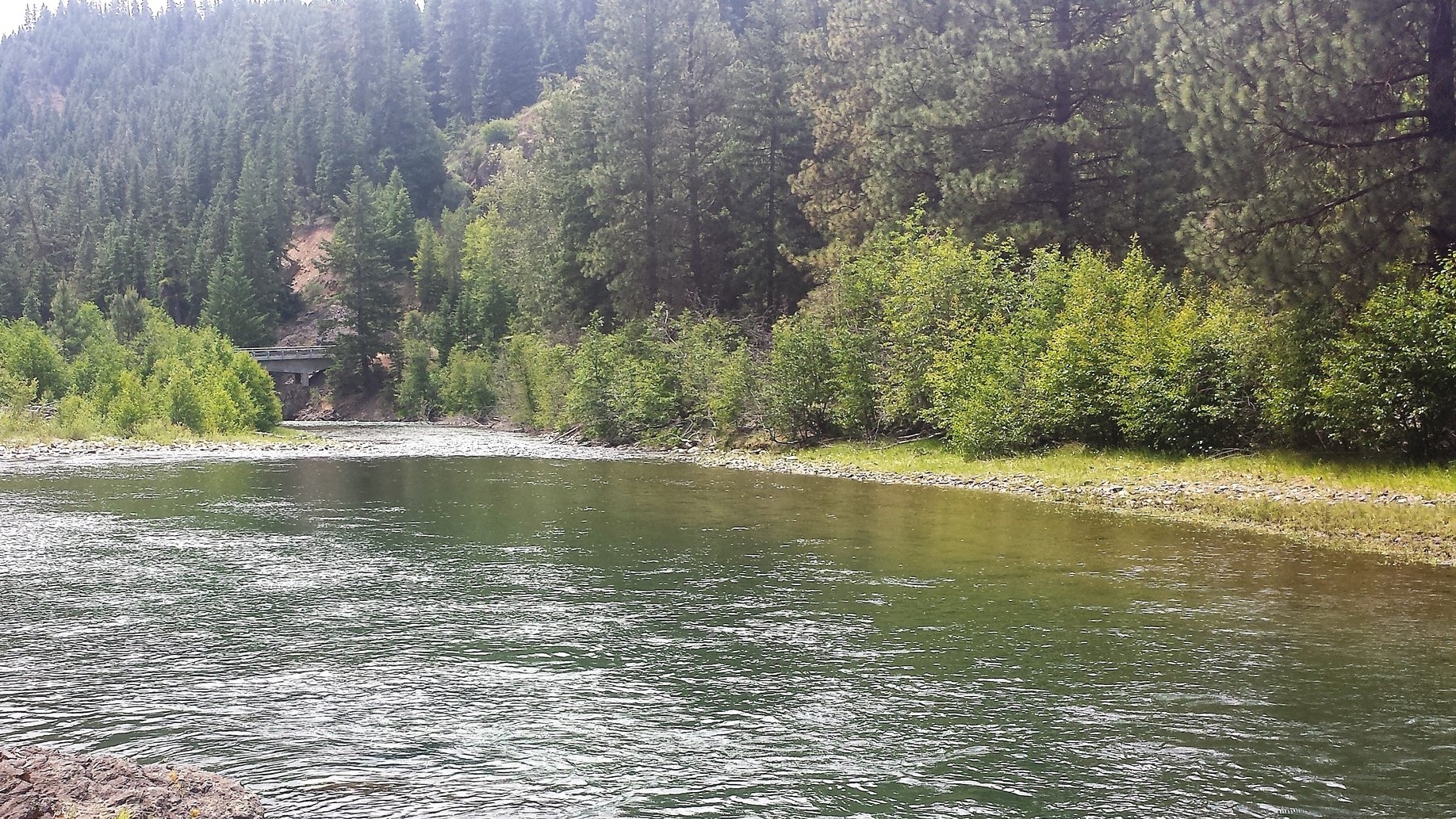 Naches River Fly Fishing