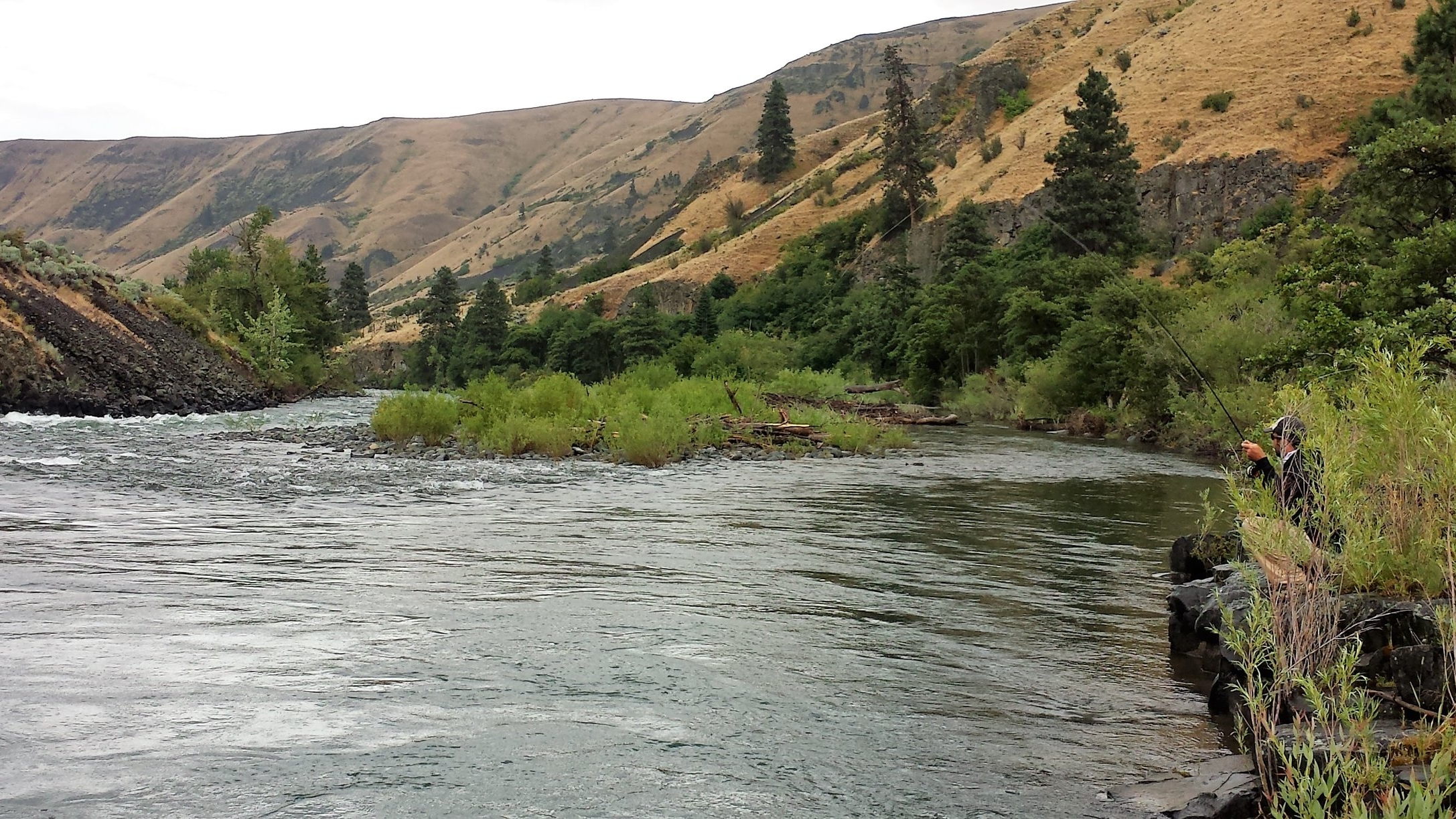 Naches River Fly Fishing