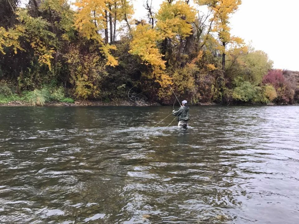 Fall Casting.jpg