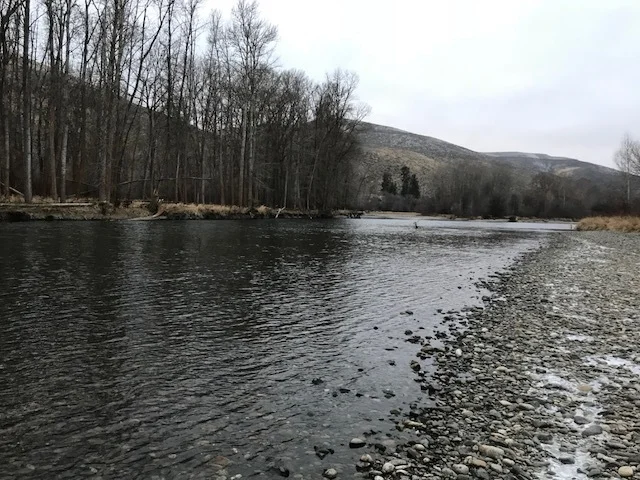 Yak Winter 1.jpg