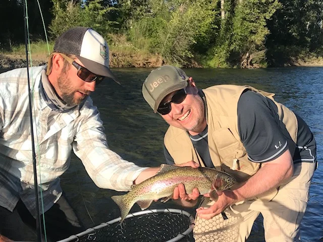 Dry Fly Rainbow.jpg