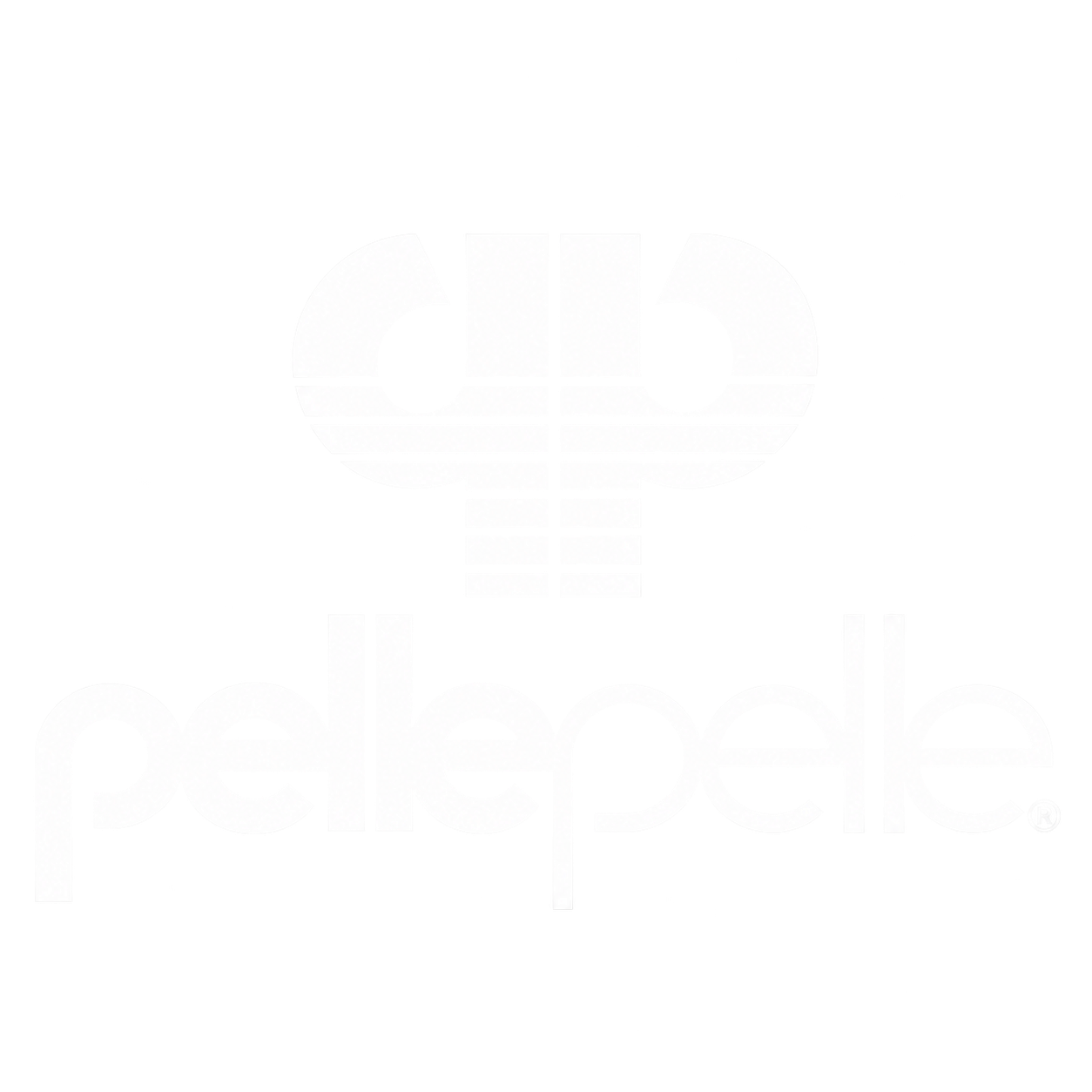52BB3666-D65B-4EB0-B912-782589E5C395.png