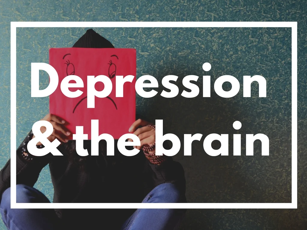 Depression and the brain