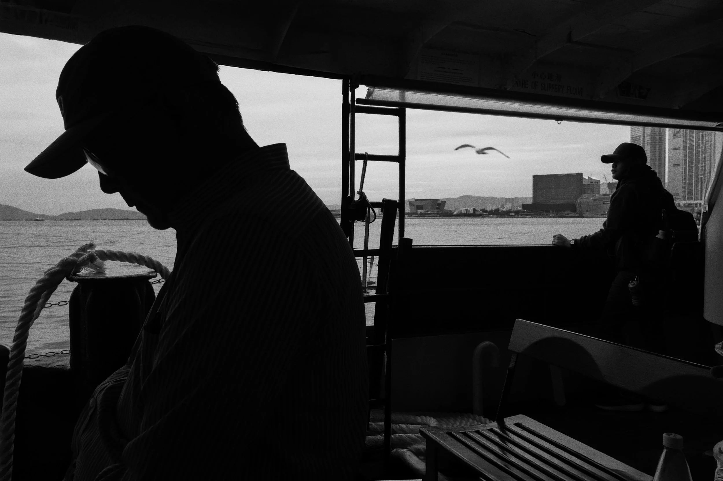 2-Hong Kong - Seagull-2025.jpg