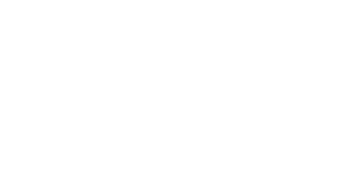 U.S. Immigration Law2.png