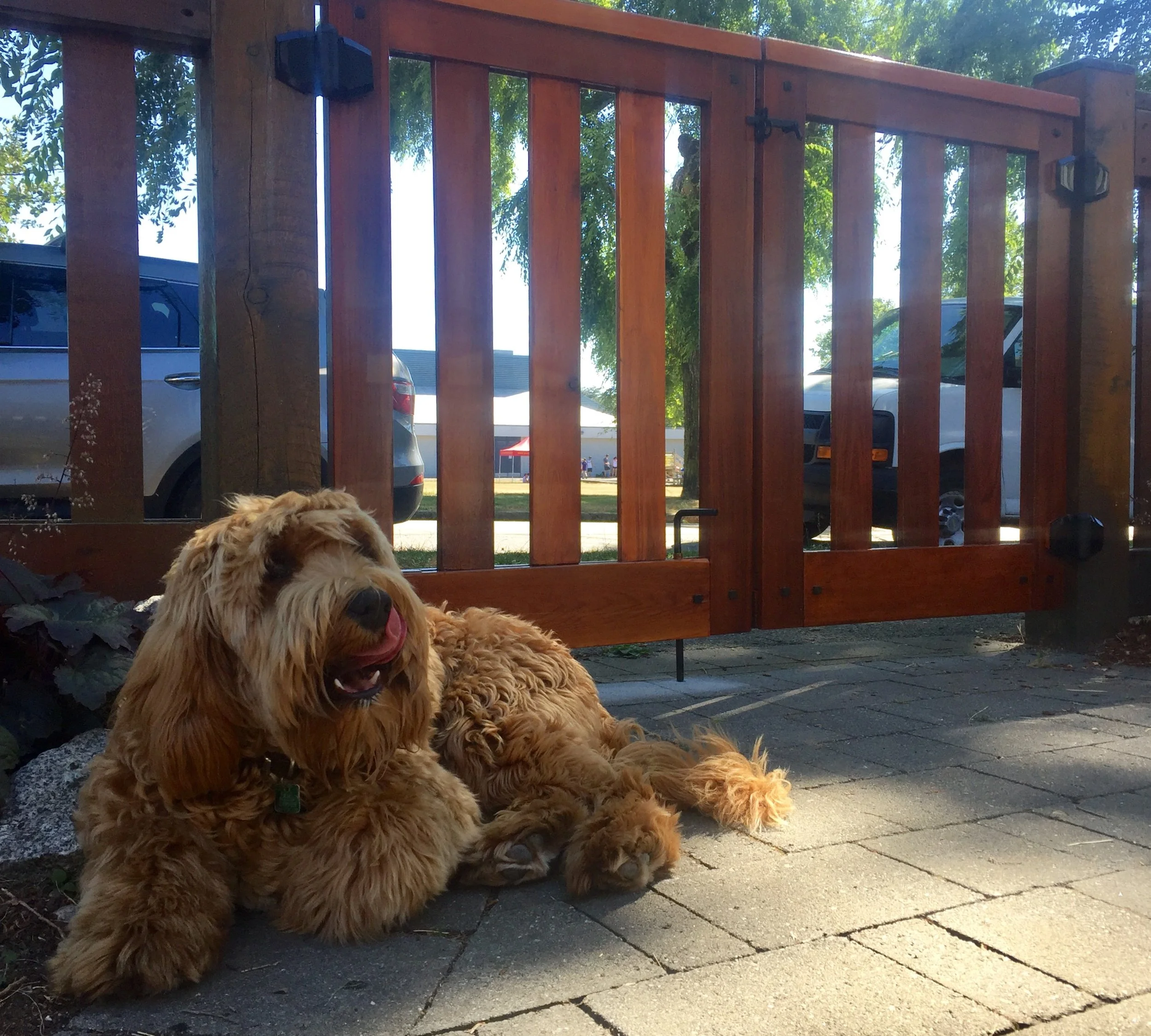 Bruno incarcerated by mortise and tenon. 