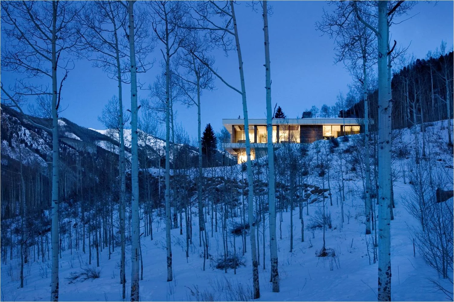 LINEAR HOUSE
