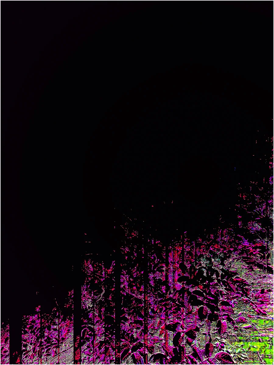 Rochester 2 30x40 print.jpg