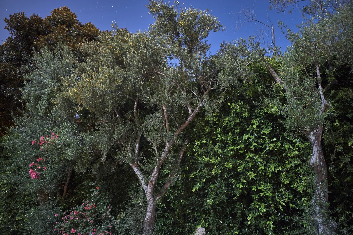 L1001268 1.jpg