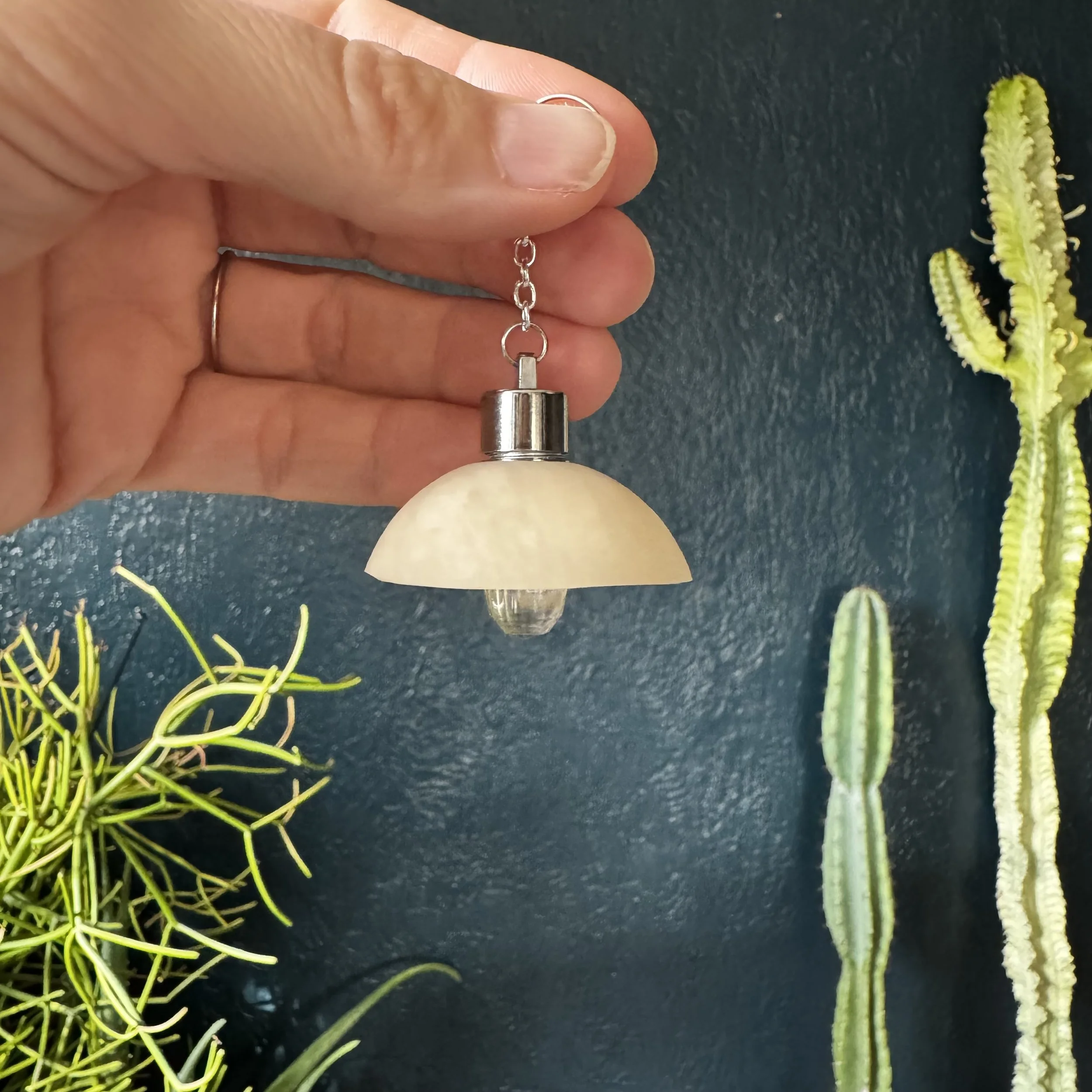 IMG_6847.jpeg (Copy)