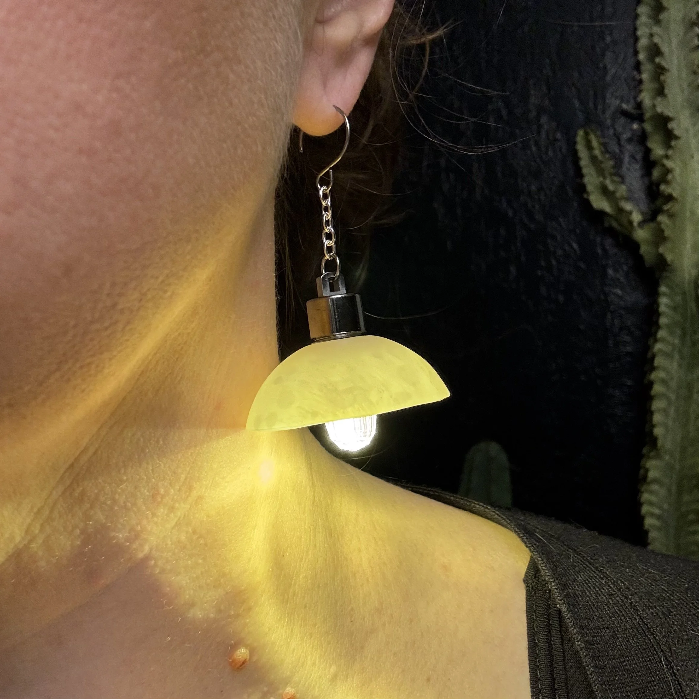 IMG_6386.jpeg (Copy)