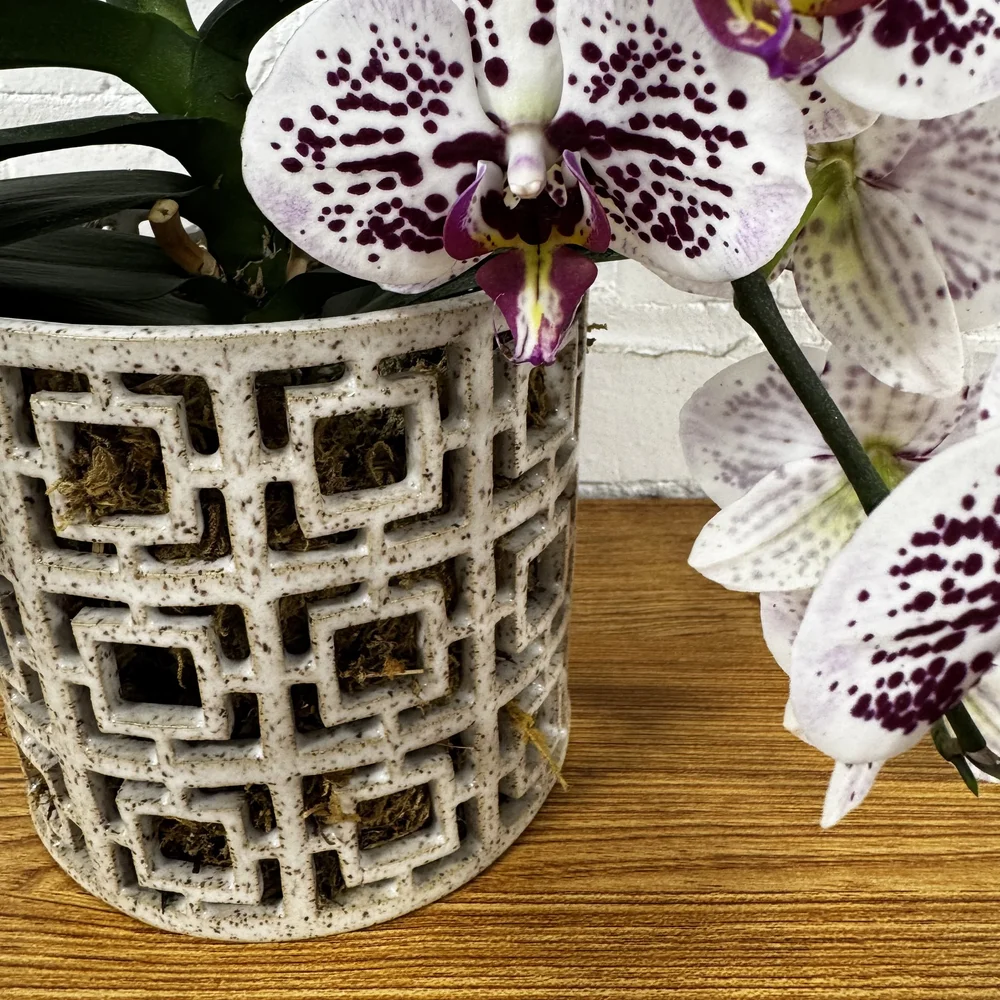 Preorder Breeze Block Orchid Planter — Kate Schroeder Ceramics