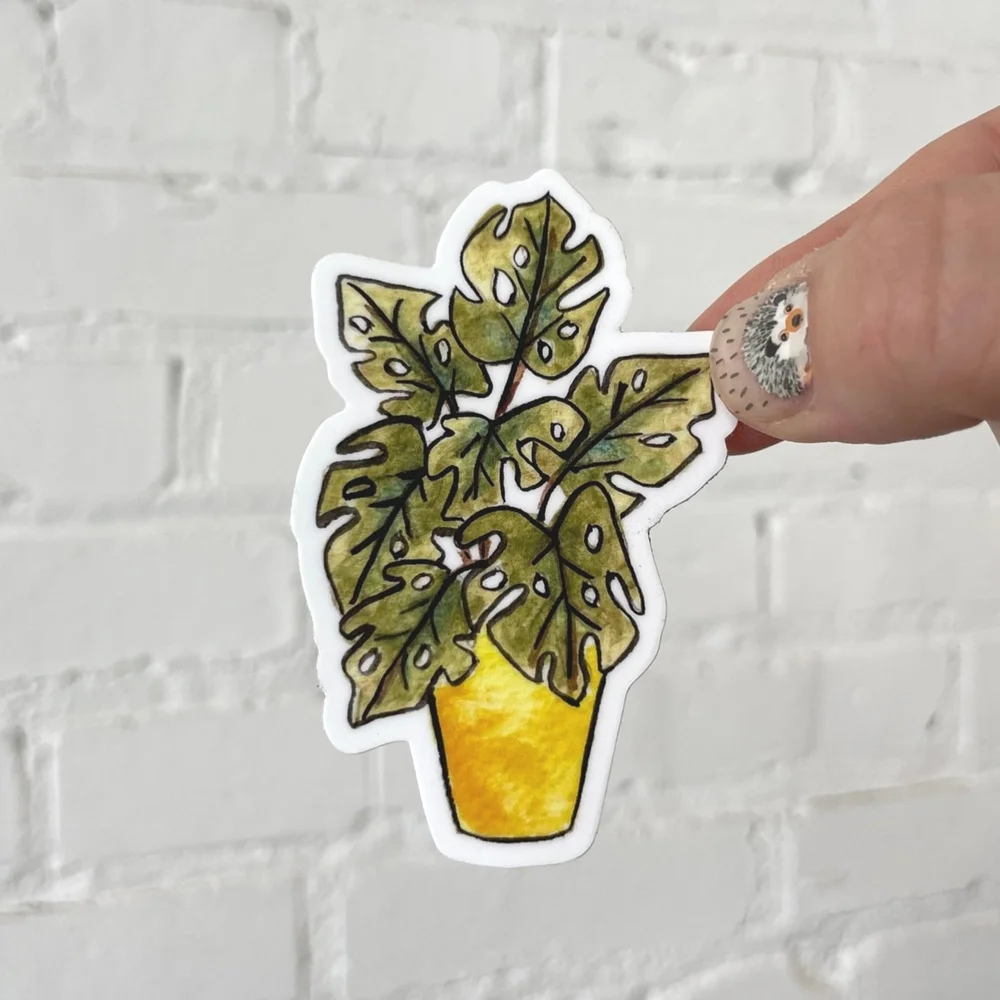 Monstera Sticker!  Kate Schroeder Ceramics