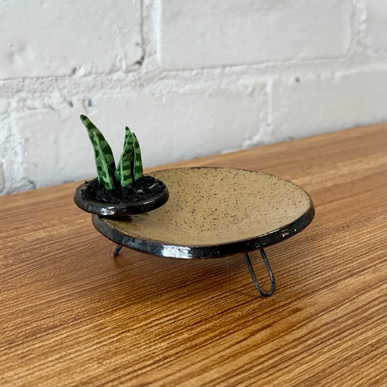Sansevieria Stoneware Ring Dish with Hairpin Legs