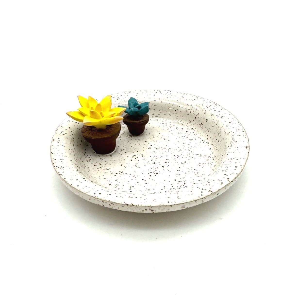 Ring Dish with Succulents