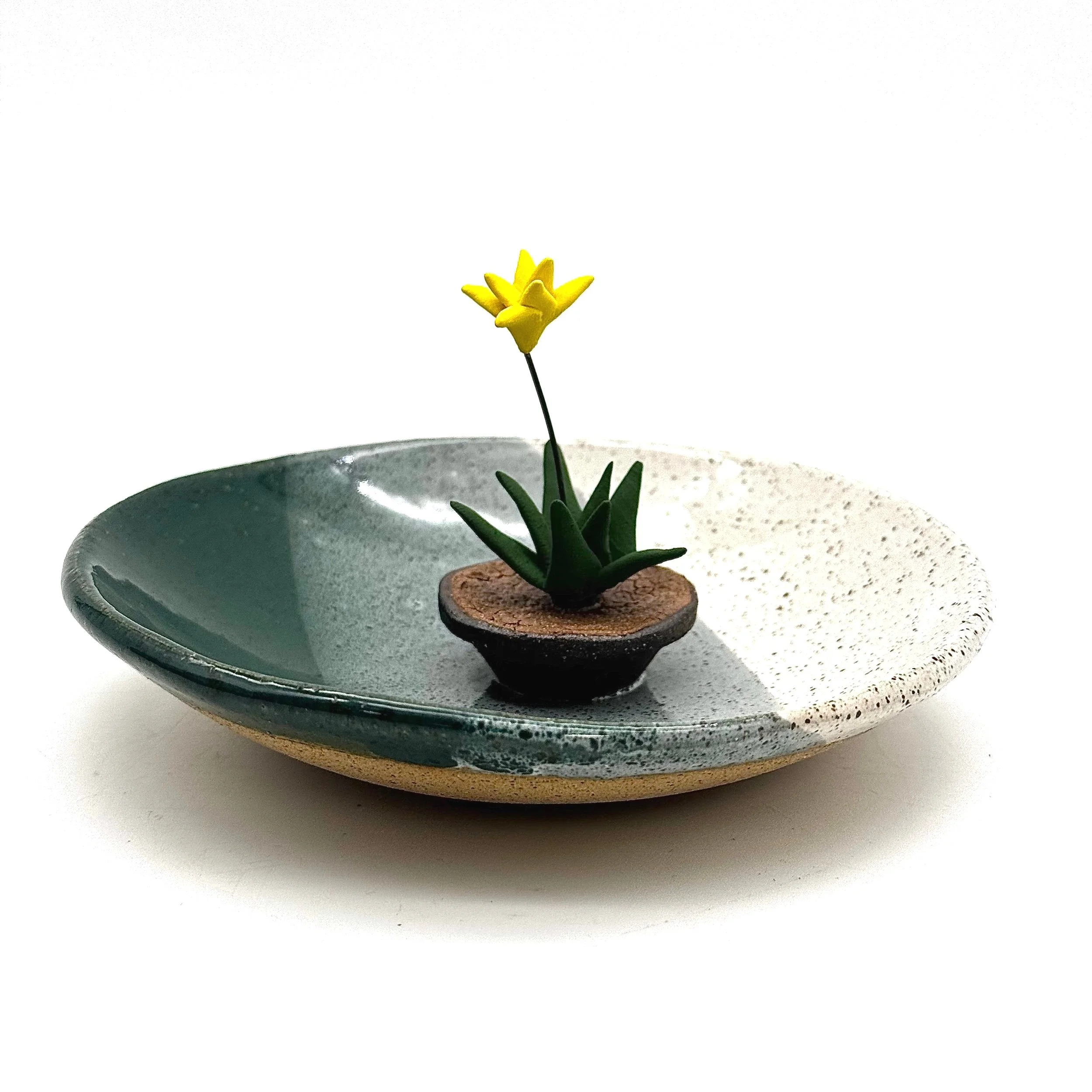 47- Ring Dish with Yellow Bromeliad