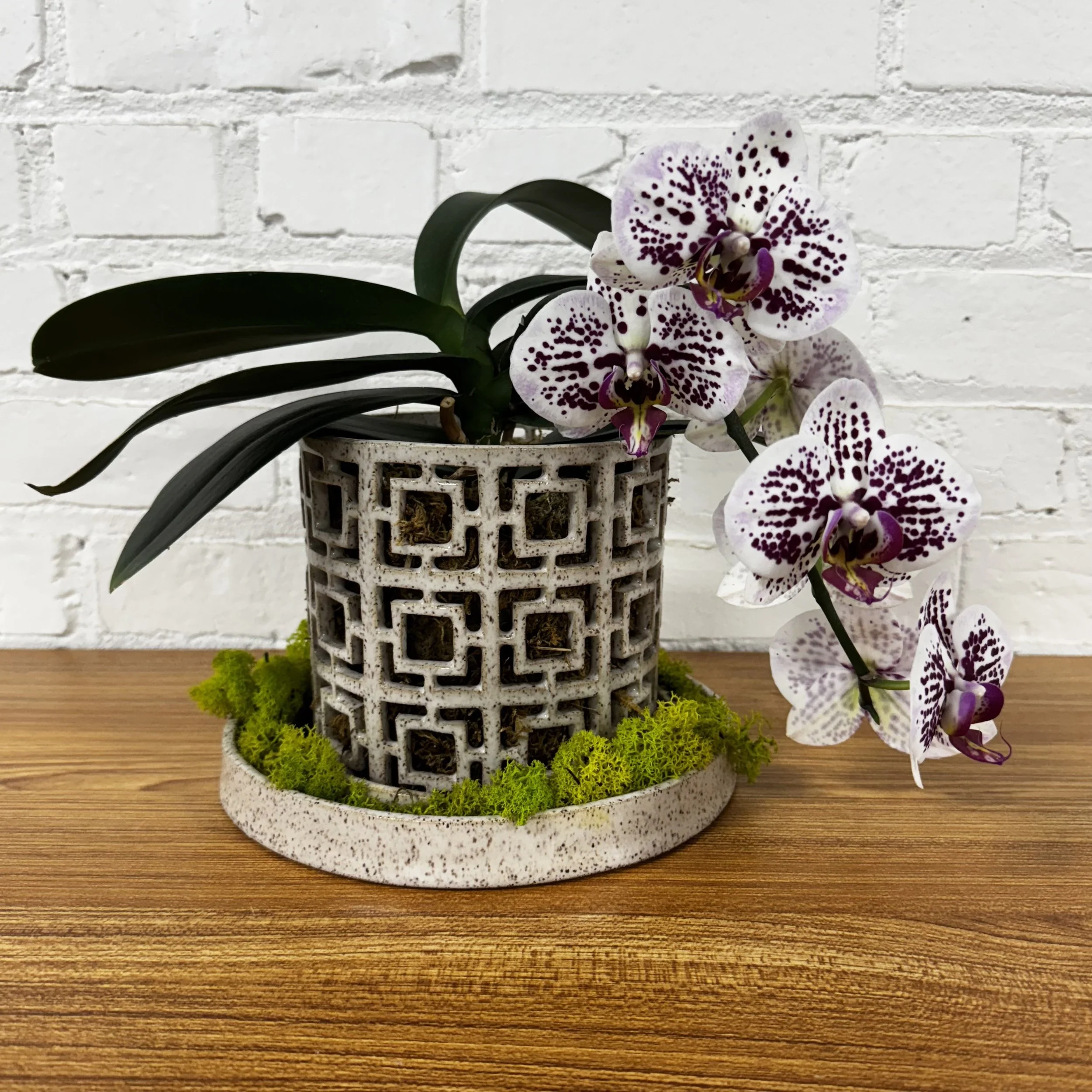 Preorder Breeze Block Orchid Planter