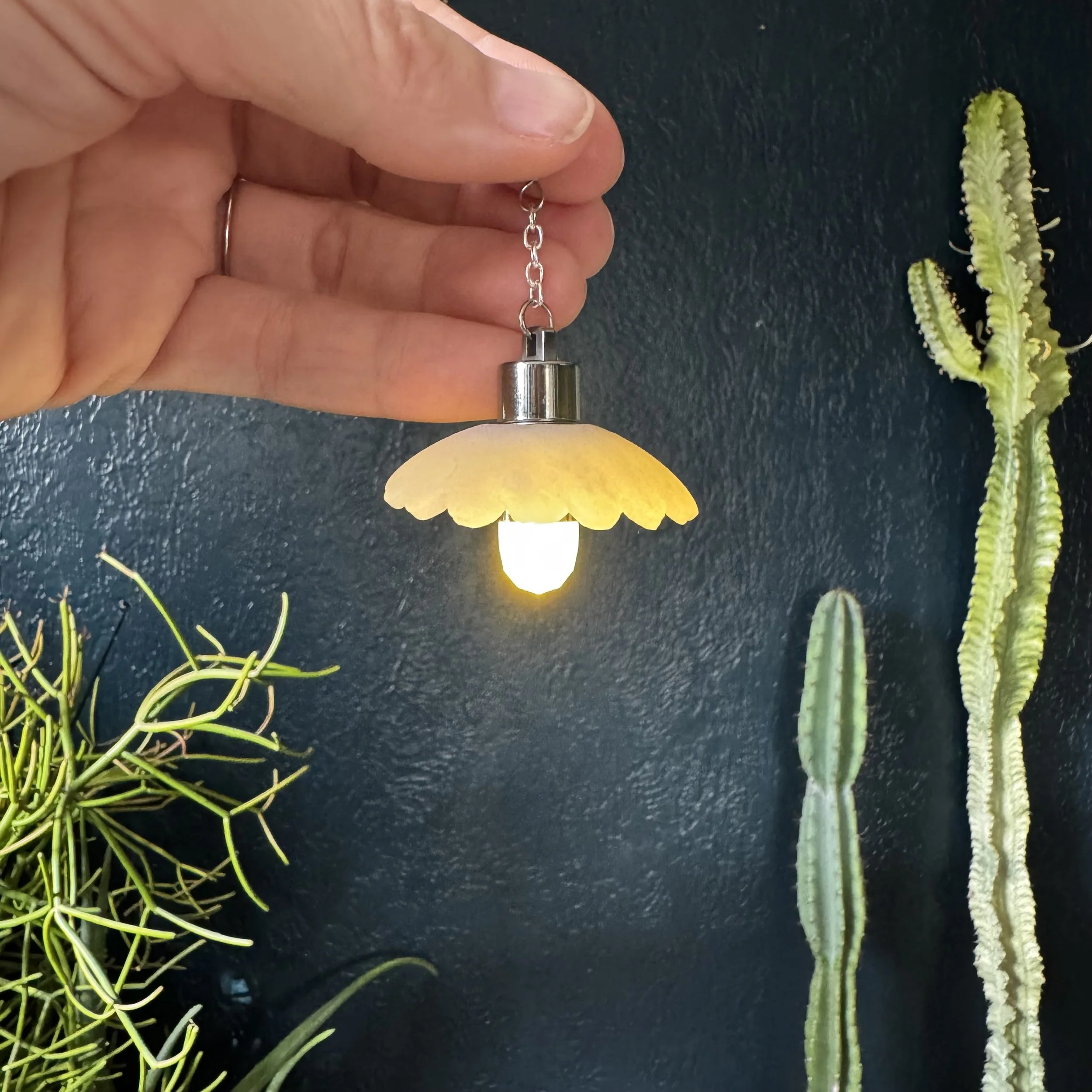 IMG_6844.jpeg (Copy)