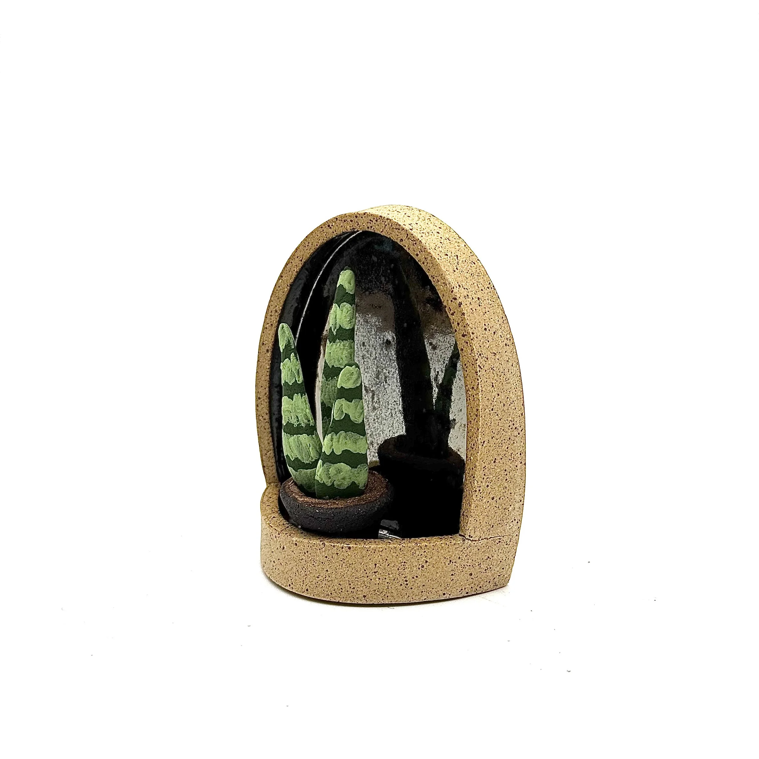 75- Small Tapered Parabolic Wall Hanging Arch with Sansevieria
