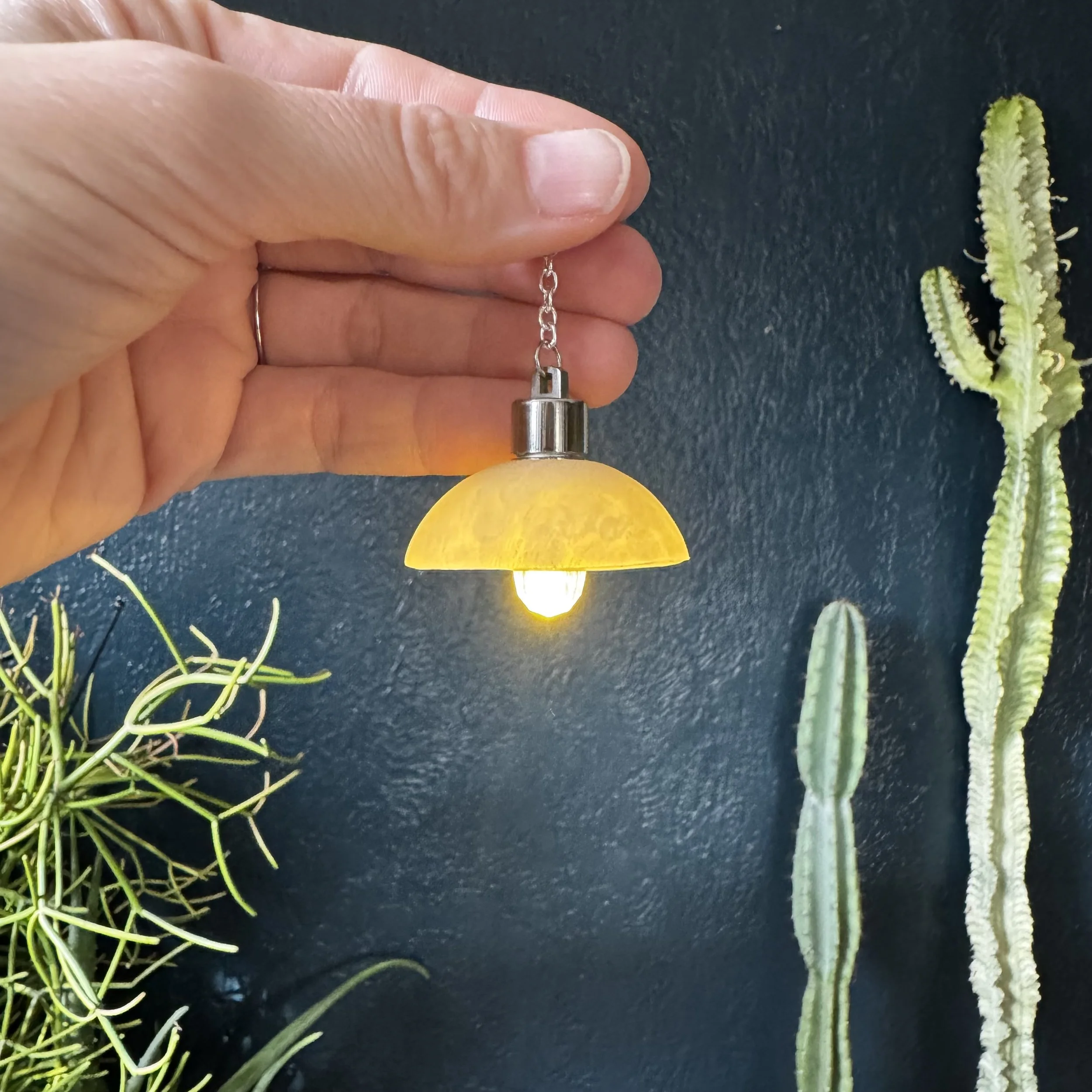 IMG_6848.jpeg (Copy)