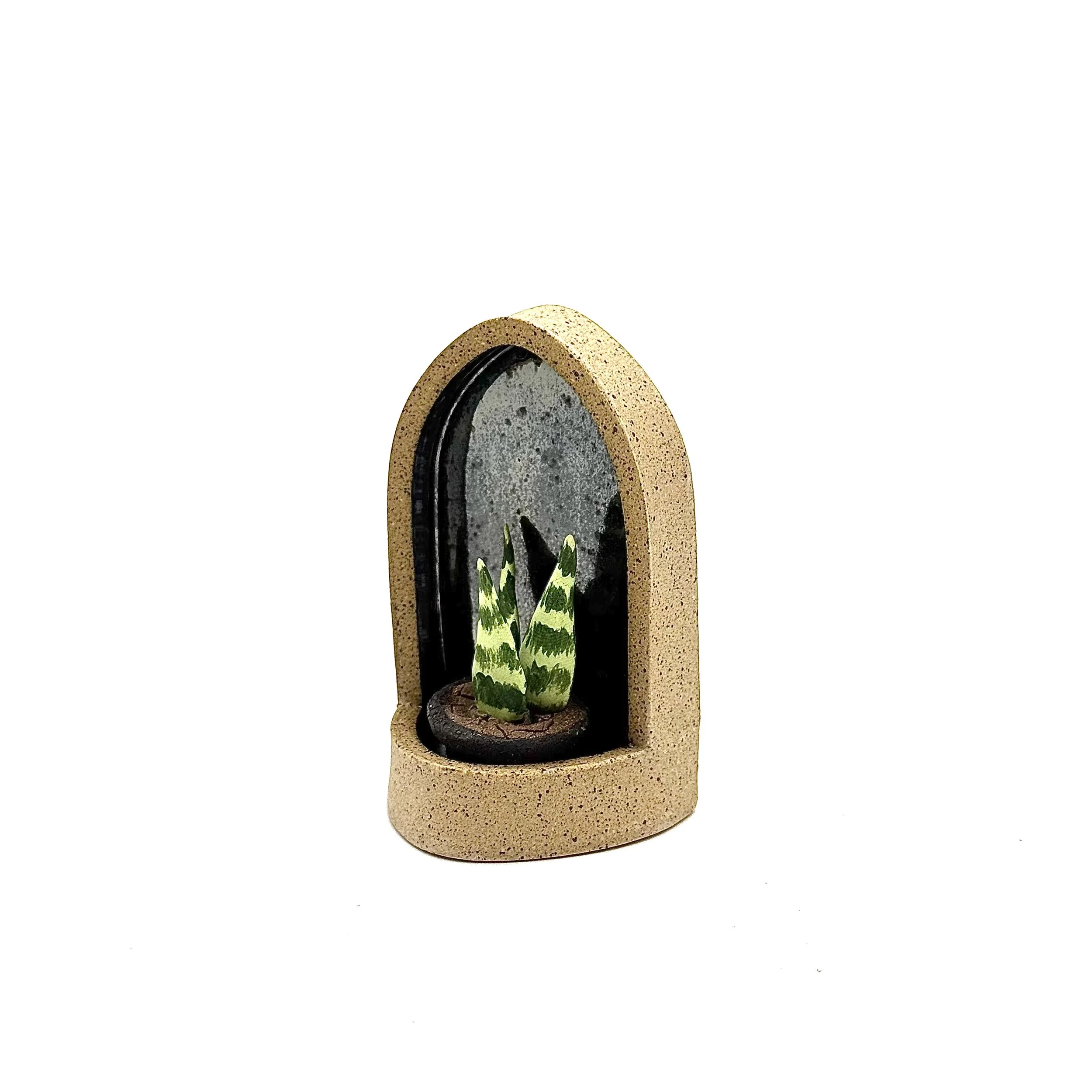 92- Small Gothic Wall Hanging Arch with Sansevieria