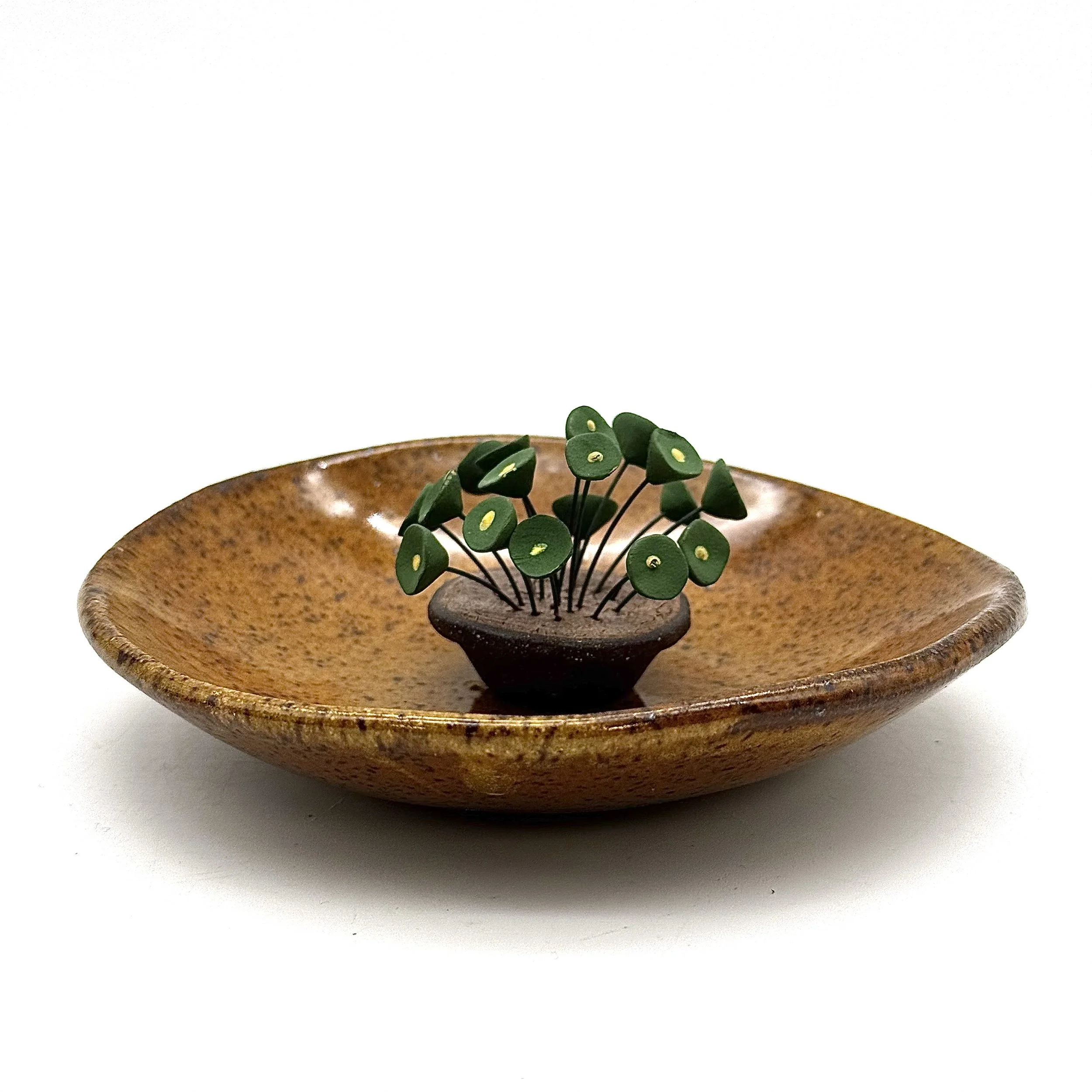 46- Ring Dish with Pilea