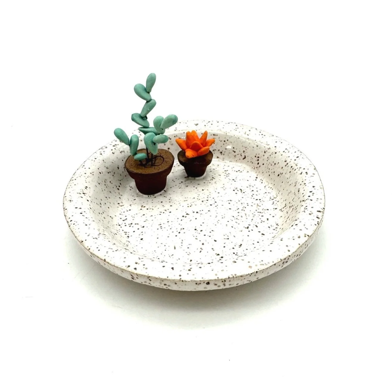 Ring Dish With Jade and Succulent