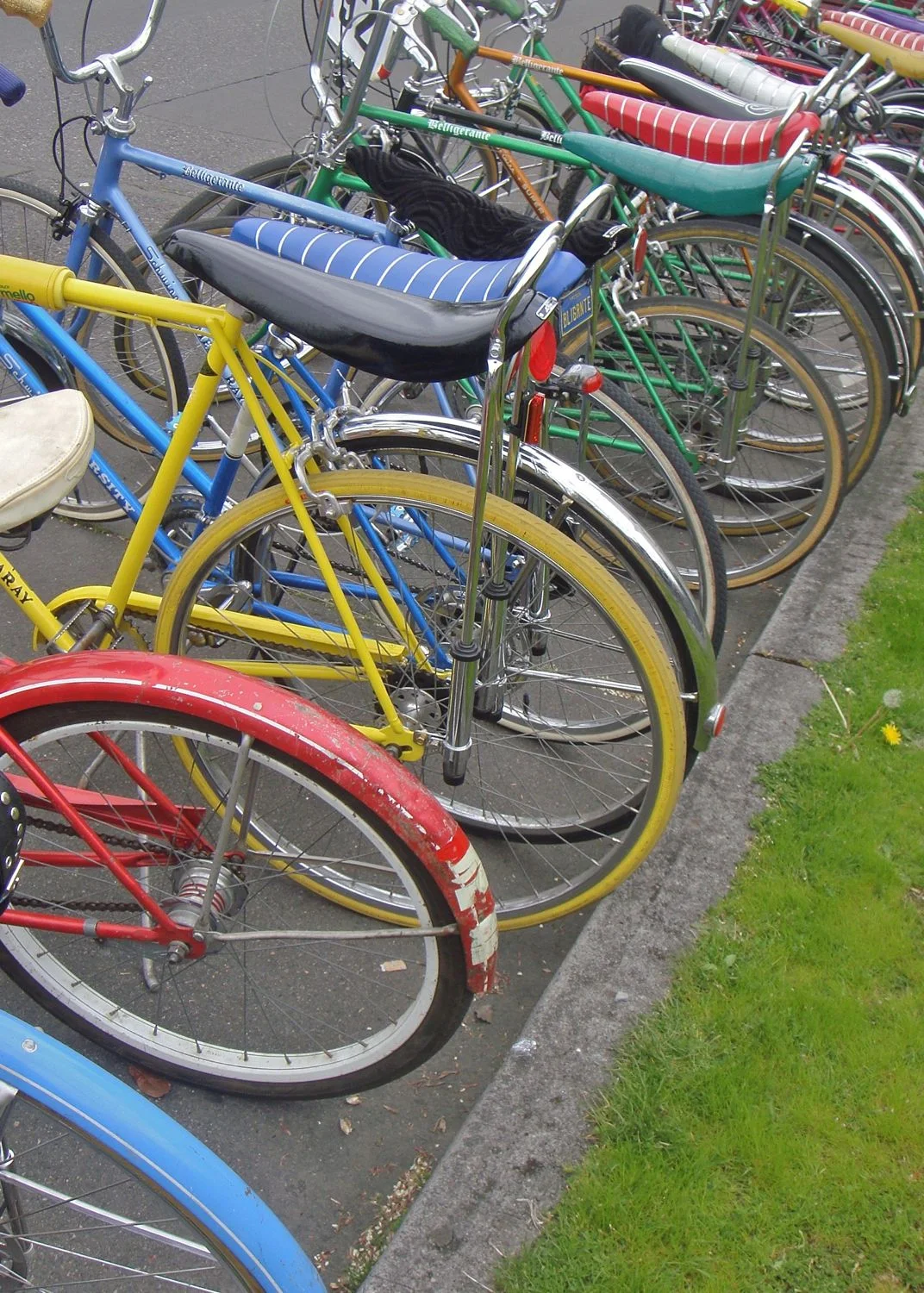 Circumference [series]