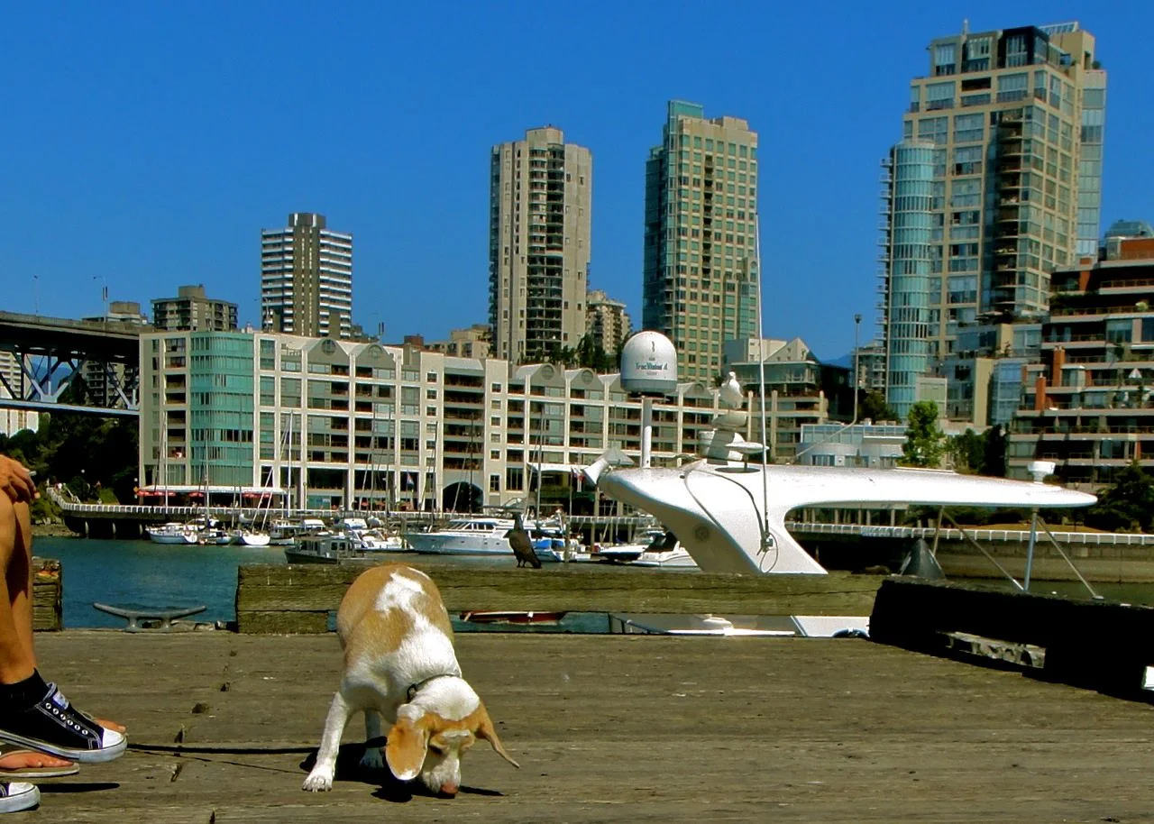 Interaction [series]