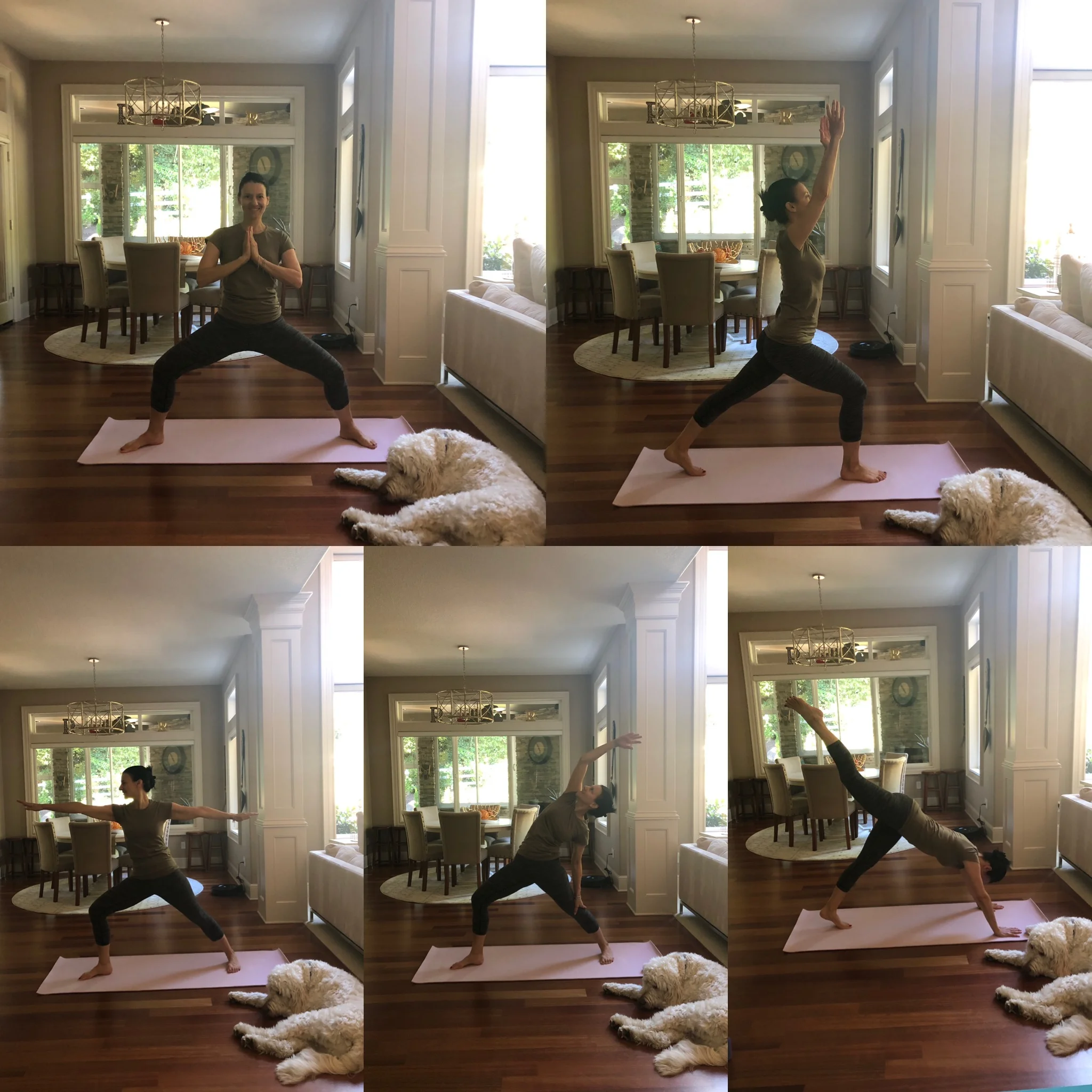 Moving our bodies is an instant mood elevator + game changer