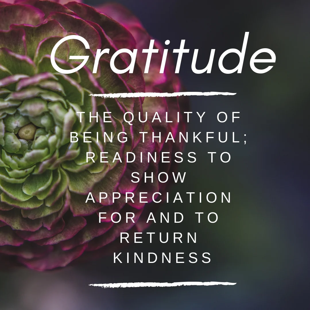 gratitude definition.jpg