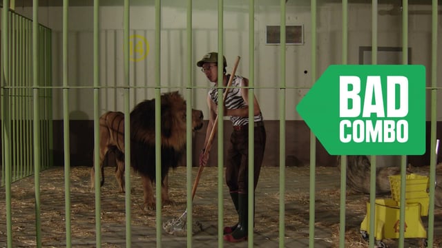 Combos - "Zebra Shirt"