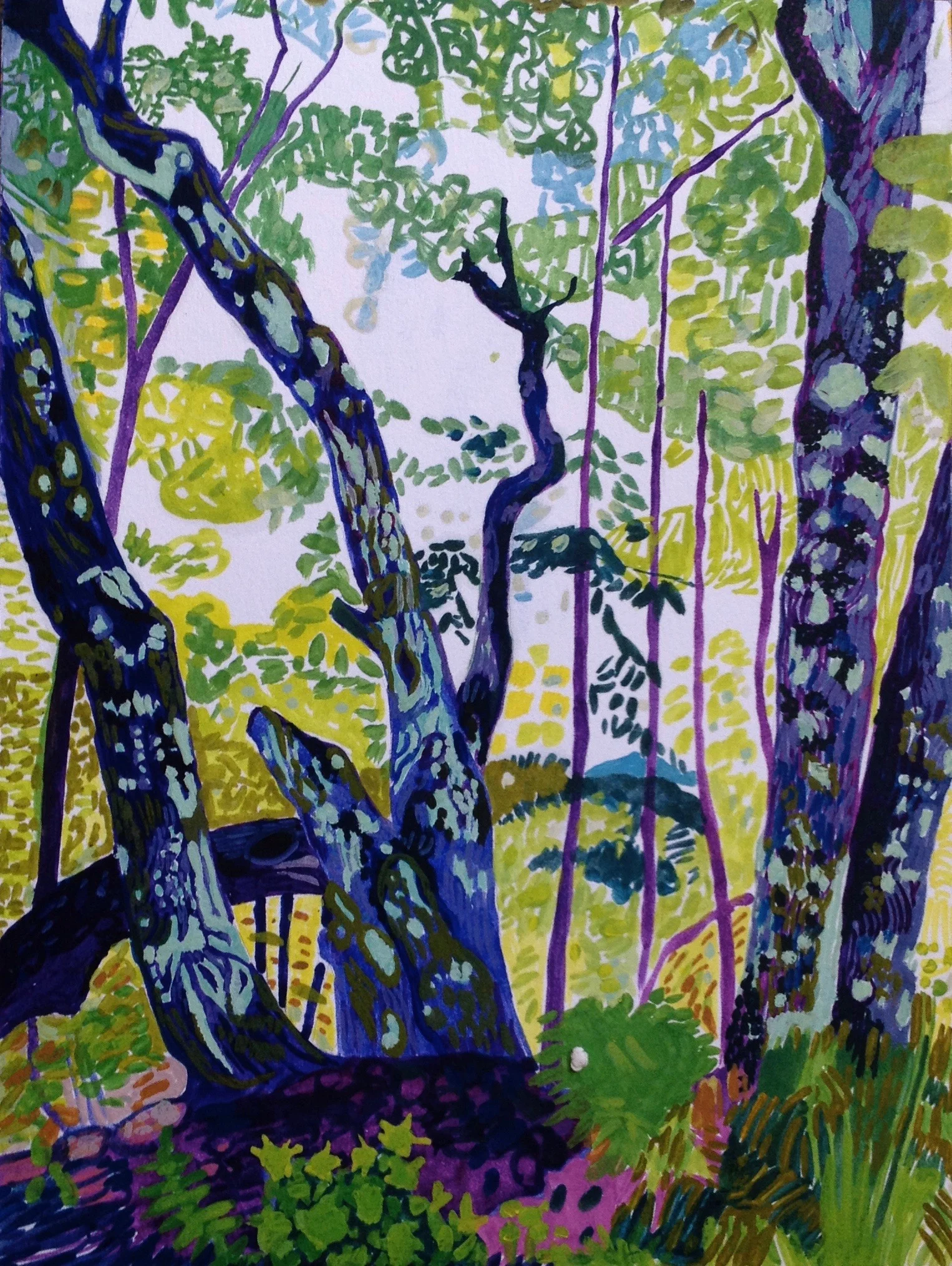 Forest Meditation 4