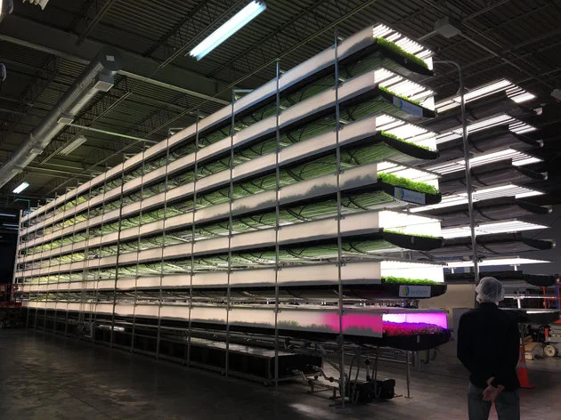 AREOFARMS: FEEDING THE WORLD WITH VERTICAL FARMS
