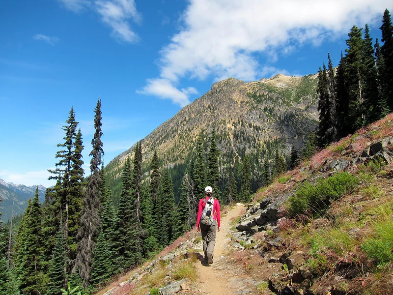 https://www.tpl.org/our-work/pacific-crest-scenic-trail