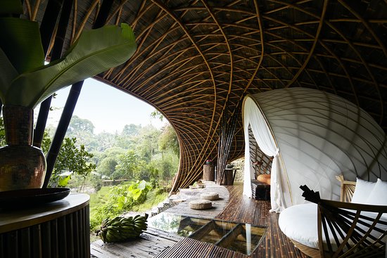 The moon house